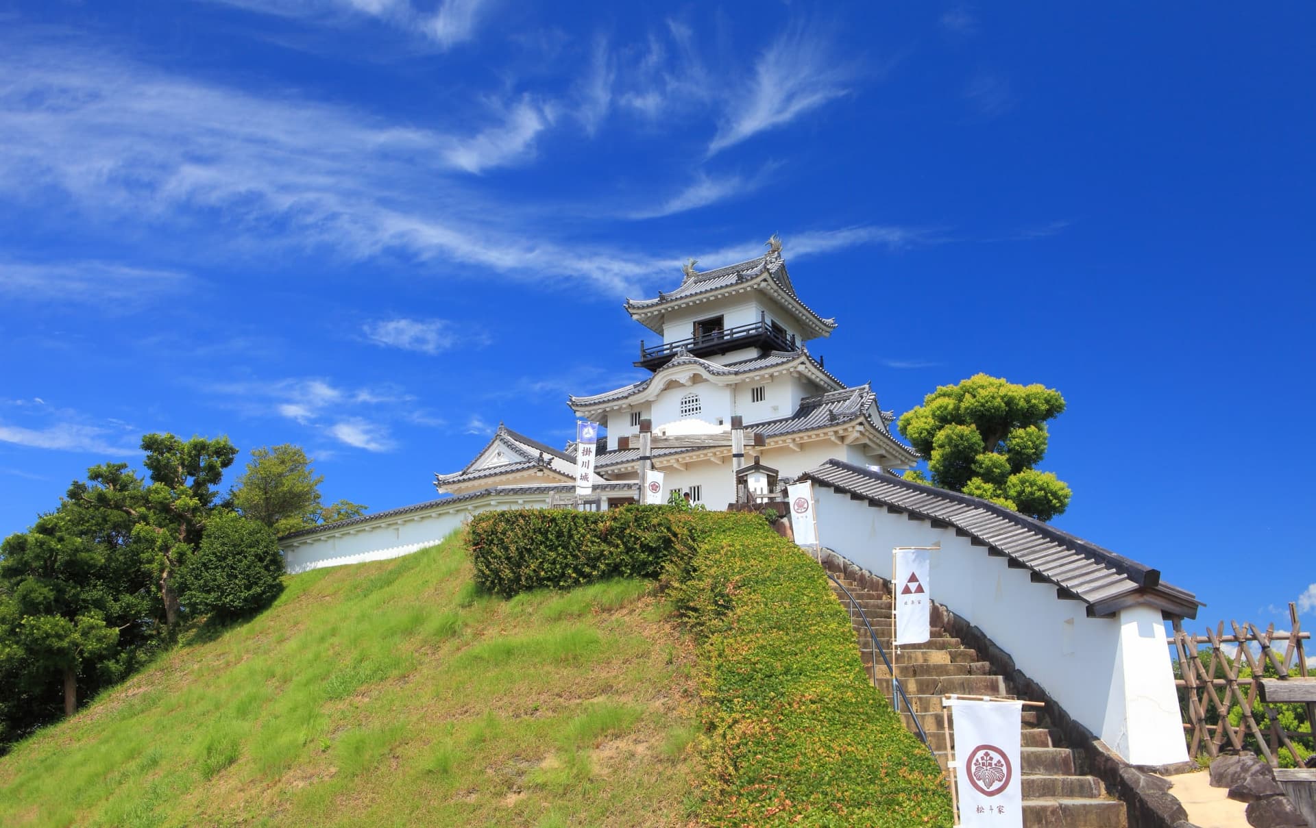 Kochi Kochi
