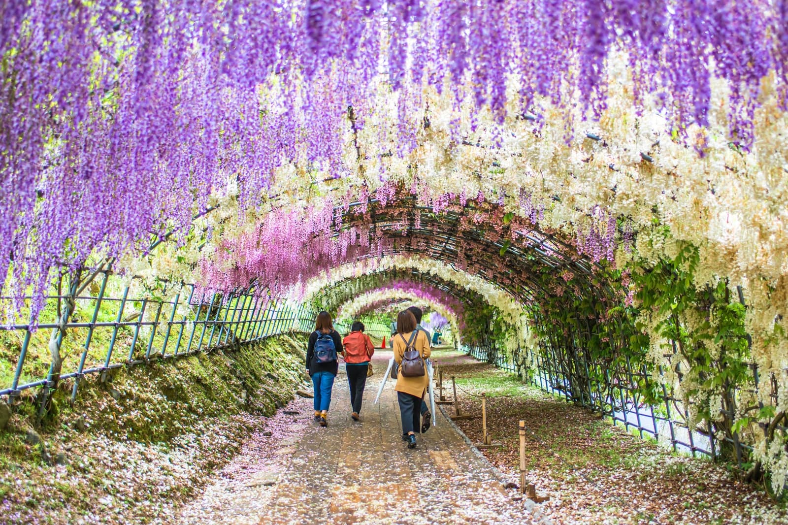 Fukuoka Fukuoka