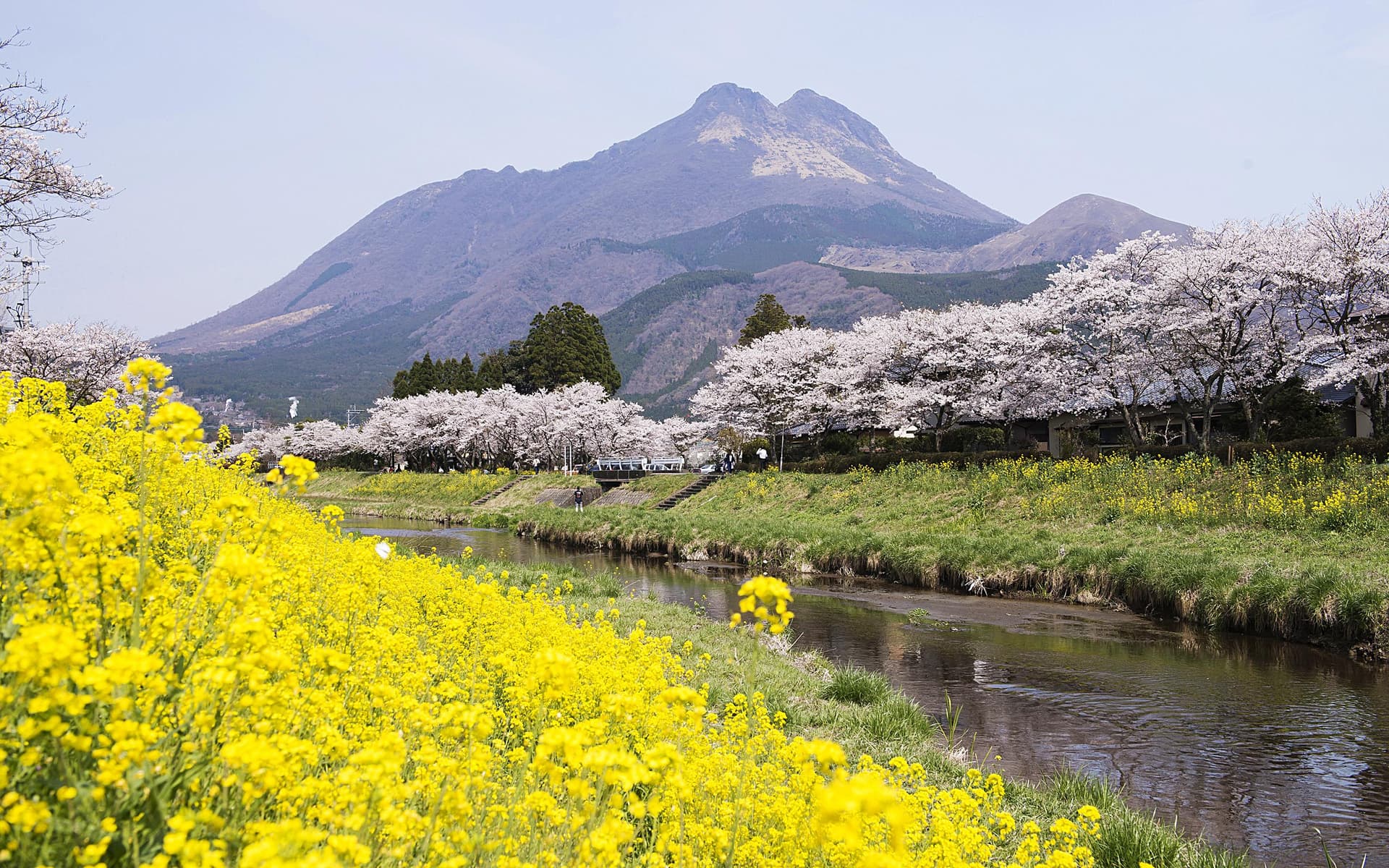 Oita Oita