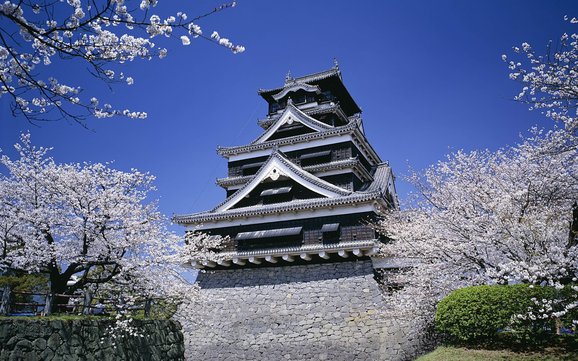 Kumamoto Kumamoto