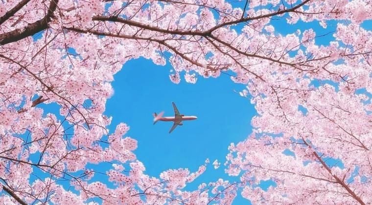 Hamamatsu1 Hamamatsu1