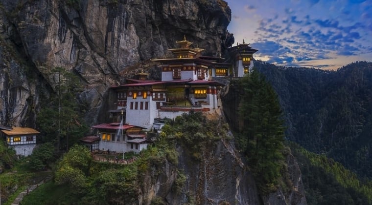 Paro Paro