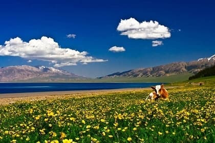 Sayram Lake Sayram Lake