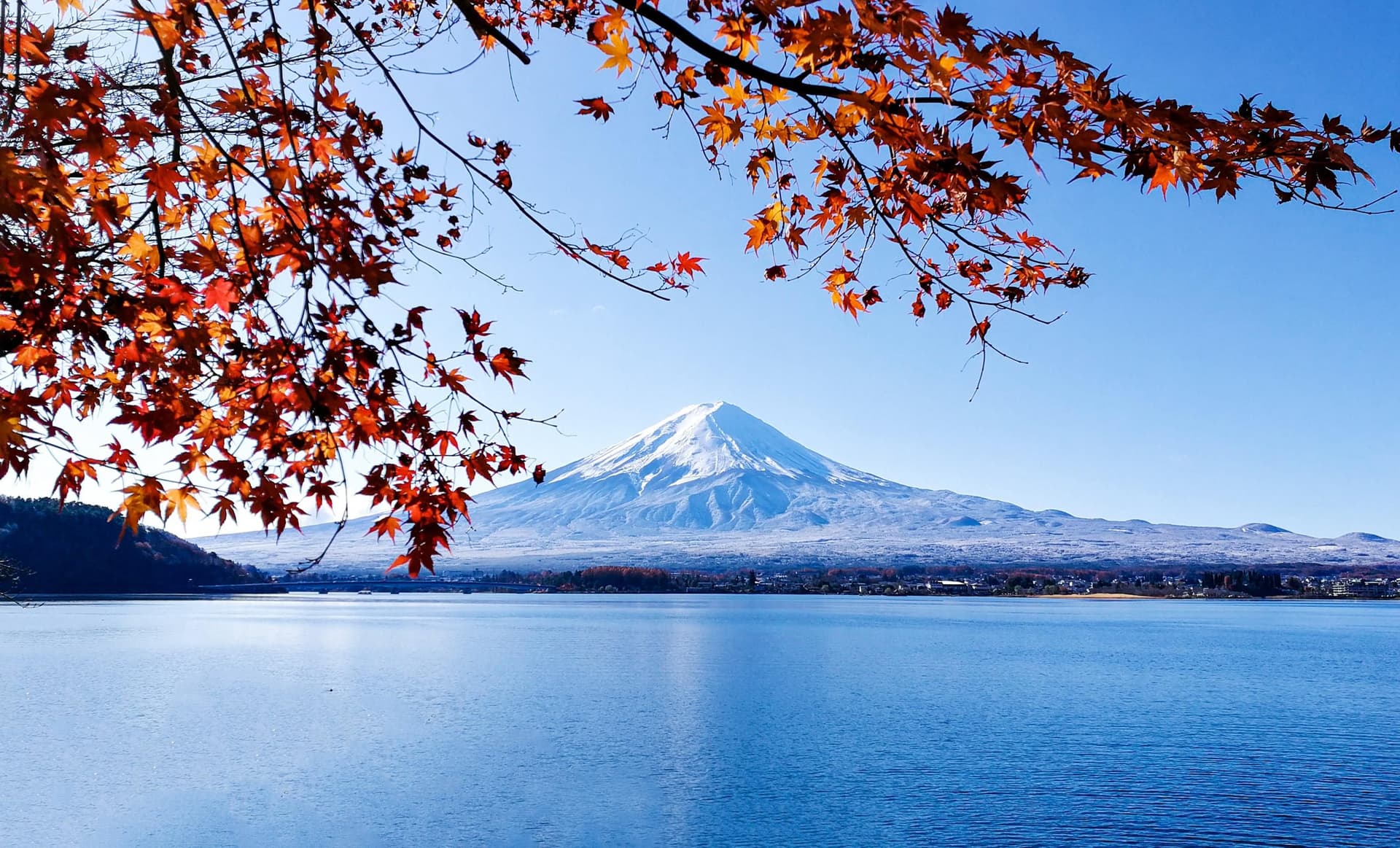 Japan Travel Guide