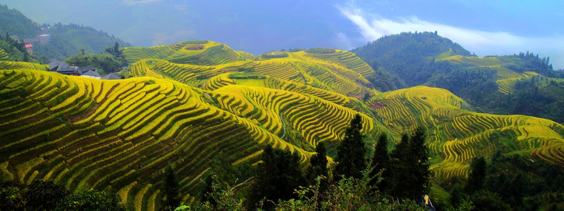 guilin-longji-rice-terrace guilin-longji-rice-terrace