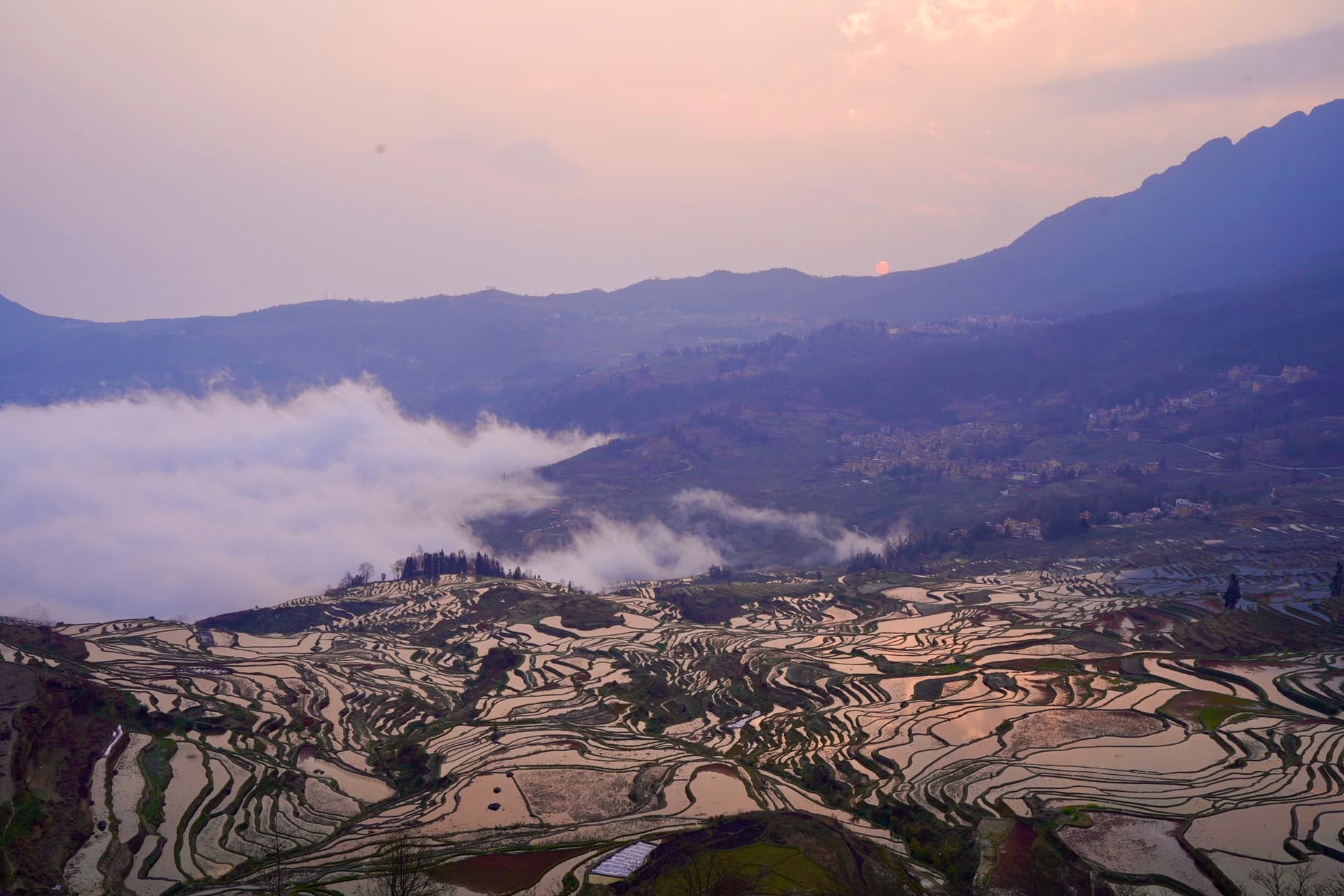 Yunnan-7 Yunnan-7