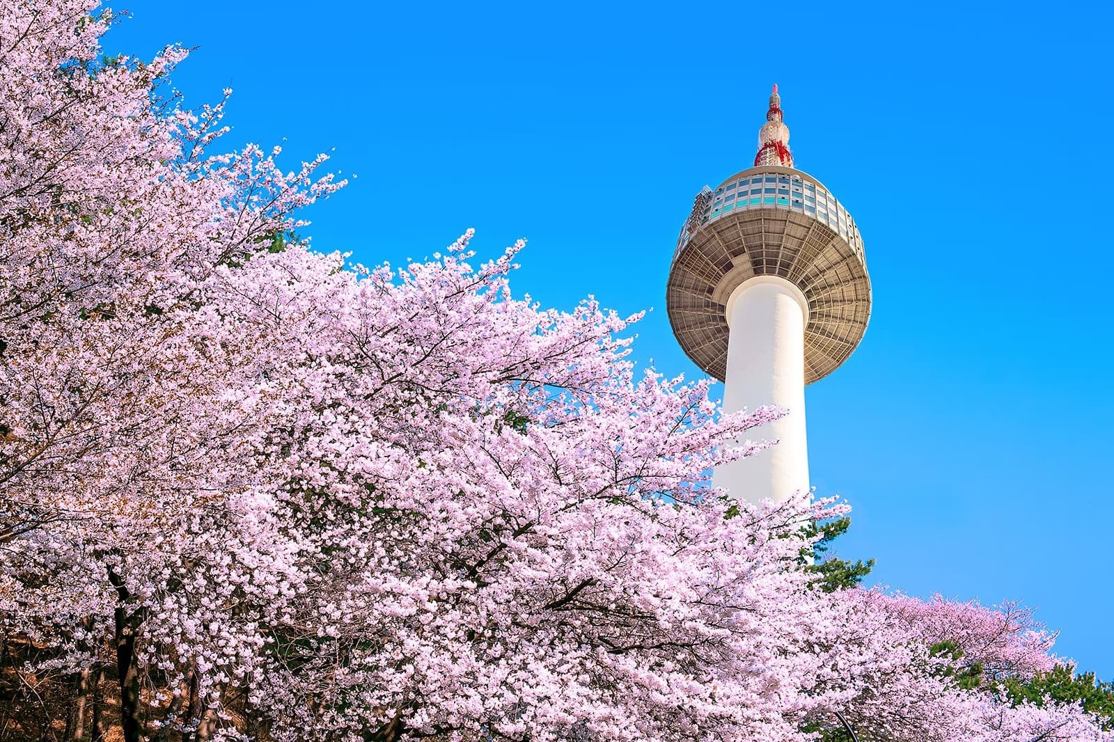 Seoul-1 Seoul-1