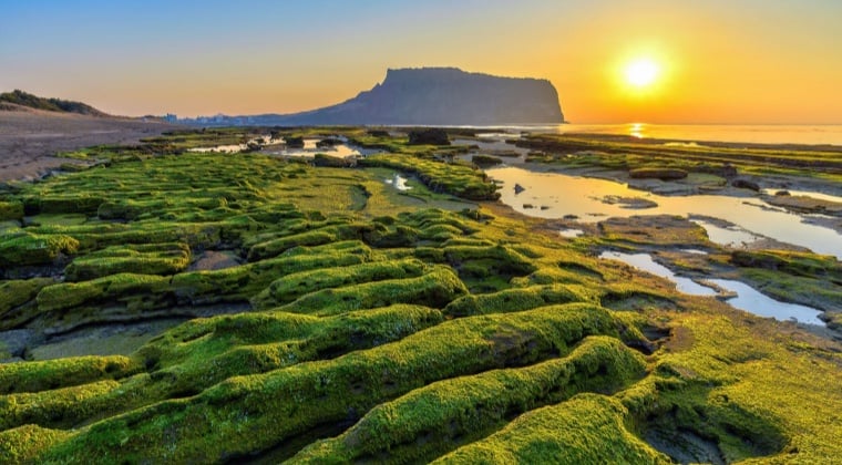 Jeju Island_副本 Jeju Island_副本