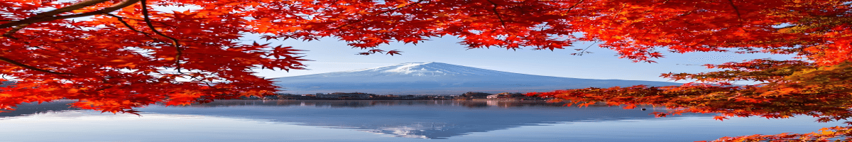 红叶 红叶
