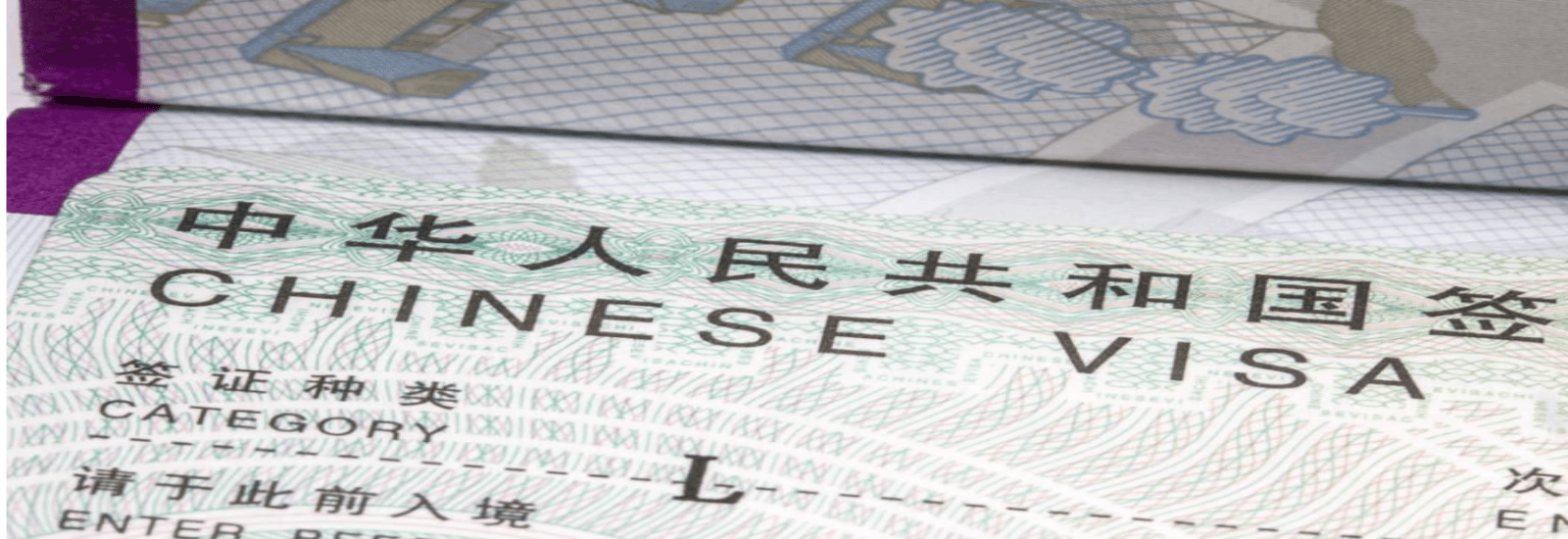 China Tourist Visa Application Guide 2026