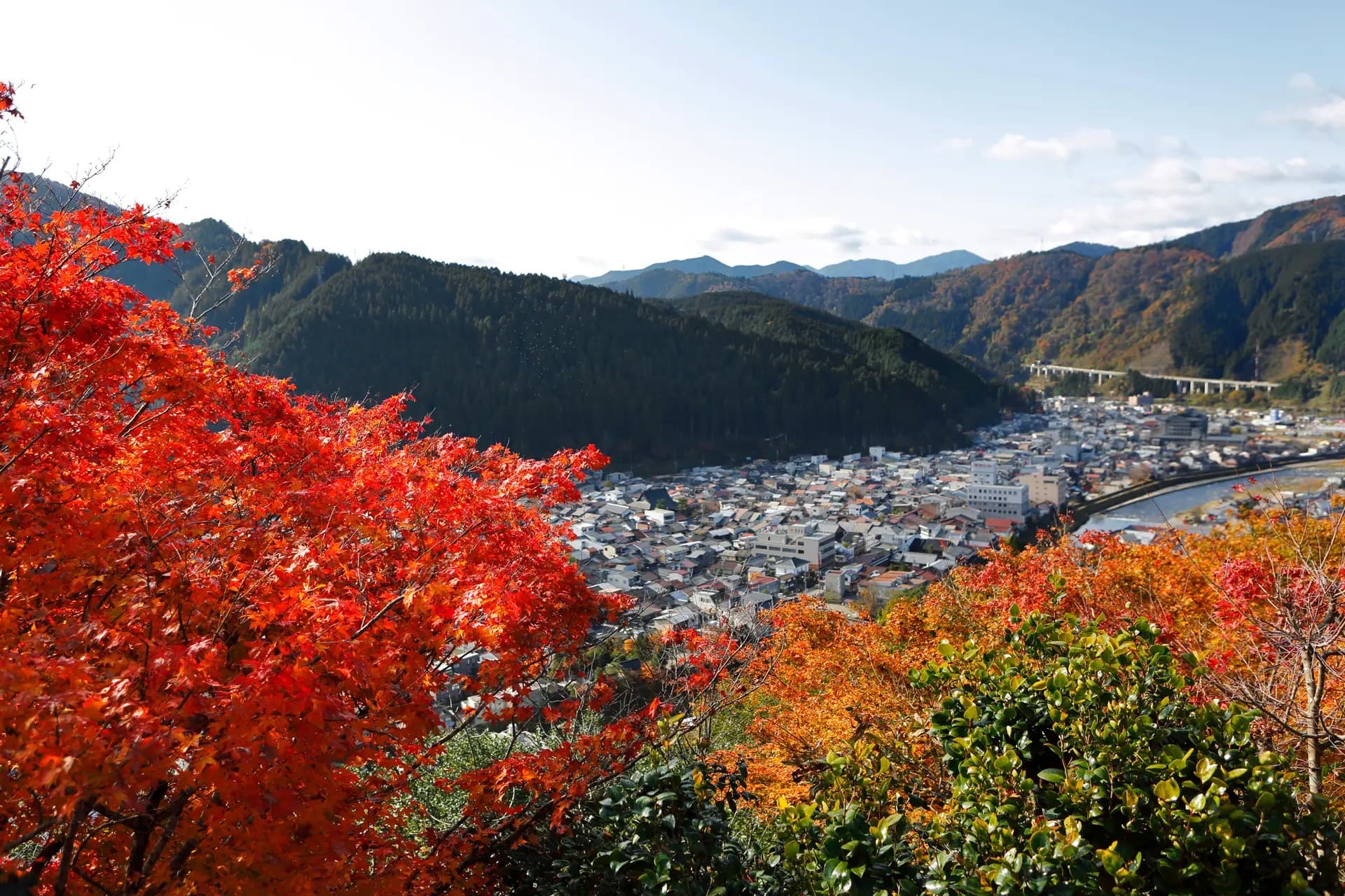 GIFU GIFU