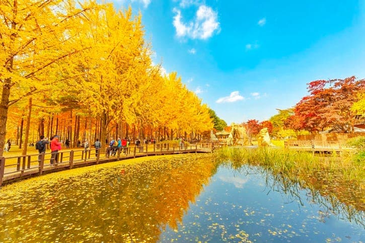 Nami Island Nami Island
