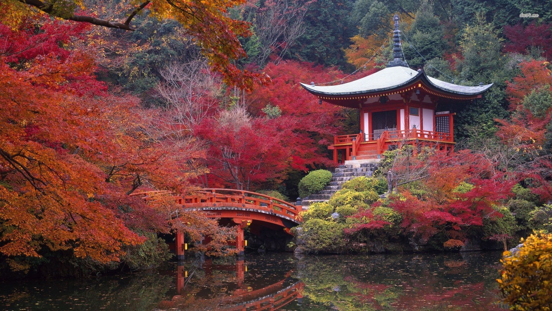 Kyoto Kyoto