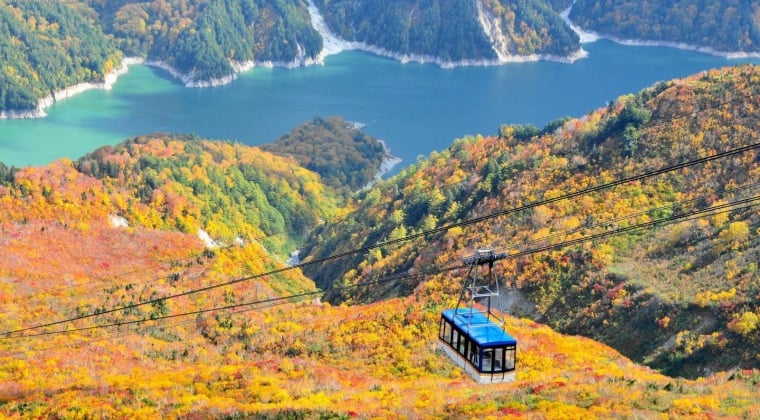TOYAMA TOYAMA