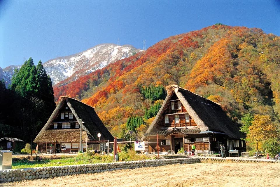 TOYAMA TOYAMA