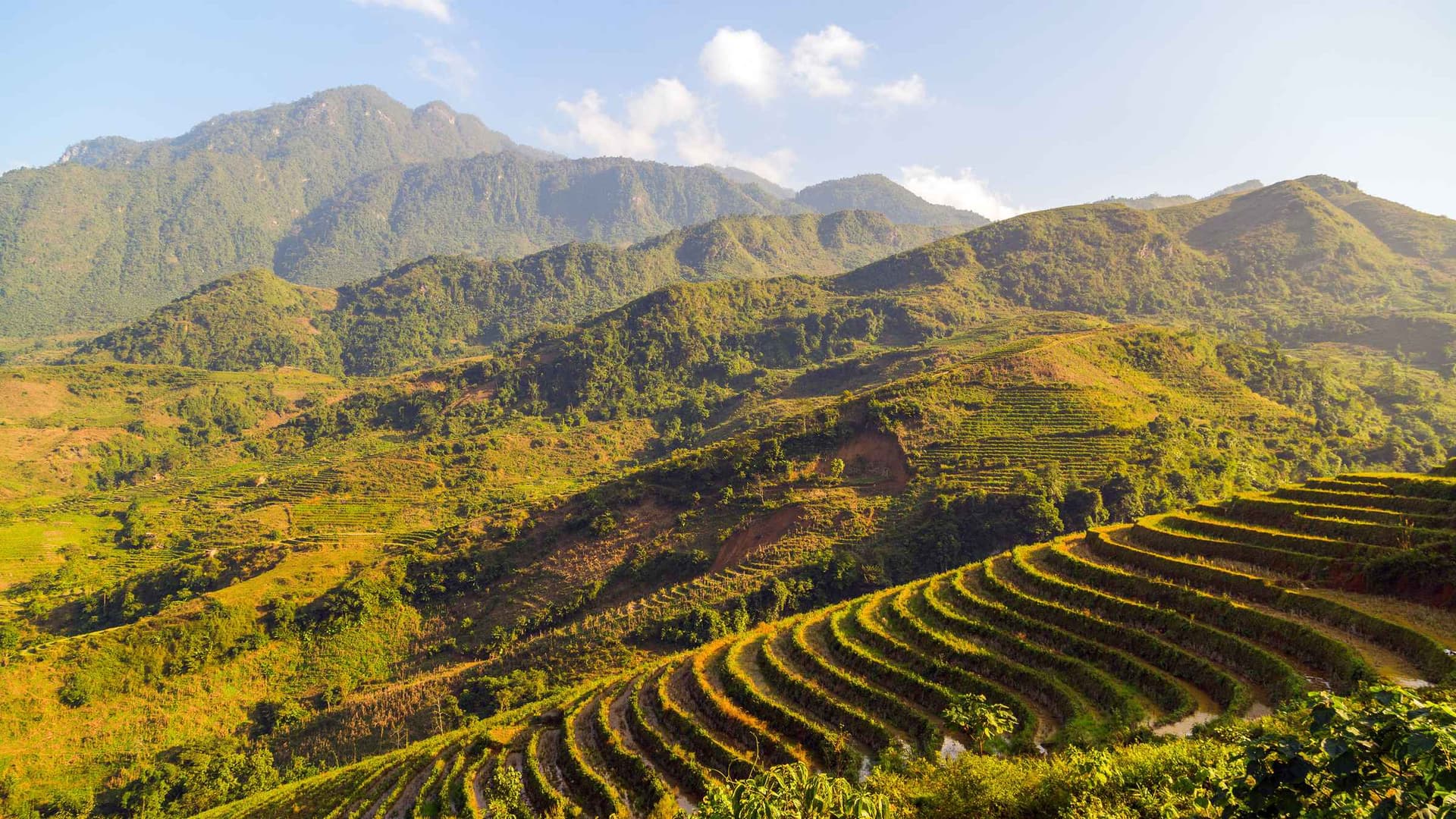 Lao Cai 1 Lao Cai 1