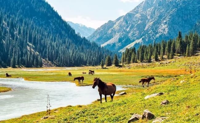 Chon Kemin Valley1 Chon Kemin Valley1
