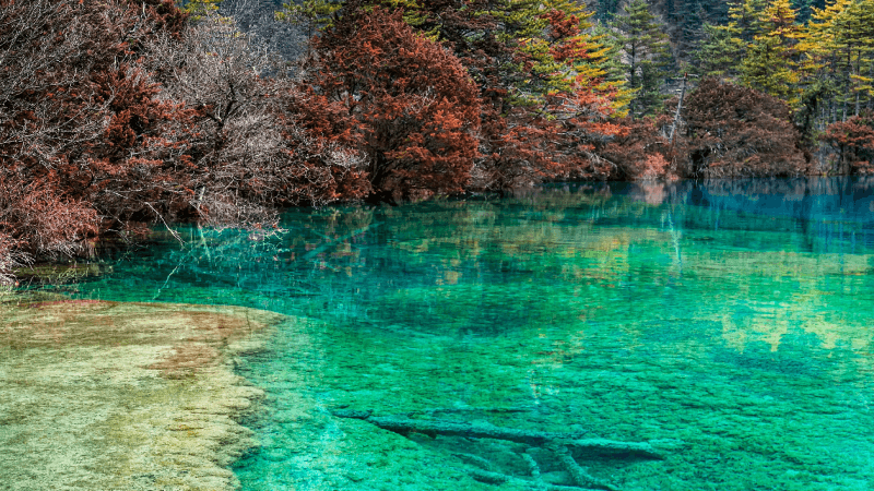 685a700c280a5.png 九寨.png
