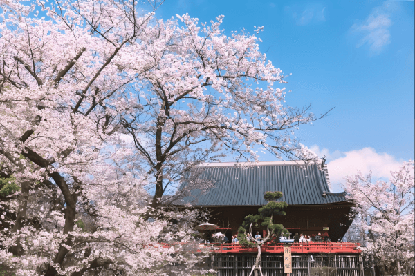 686512124add9.png 上野.png